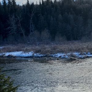 Meet your Posher, Holly